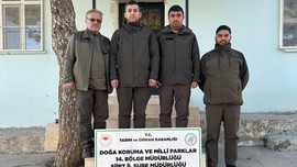 Siirt'te görevli ekipler, kaçak avcılara göz açtırmadı. Yakalanan 3 kaçak avcıya ceza kesildi