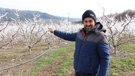 Amasya'da 400 tane ağacını teker teker dondurdu... Her bir dalın üzerinde koca koca buz sarkıtları oluştu. Manzarayı görenler şaştı kaldı