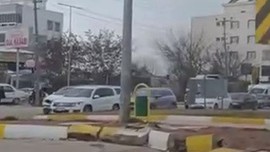 Adıyaman'da sürücüler, yolun ortasında siyah ve kocaman canlıyla karşılaştı. Trafiği birbirine kattı