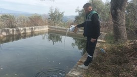 Hava sıcaklıklarının yükselmeye başladığı Aydın'da ekiplerin de mesaisi başladı. Dere yataklarını ve su birikintilerini tek tek ilaçladılar