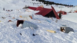 Giresun ve Trabzon arasında yer alan Sis Dağı Yaylası'nda kar üstünde korkunç olay! Vahşi hayvan yaylaya indi, her şeyi dişlerinin arasından geçirdi