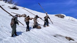 Hakkari'de 3 bin rakımlı dağdan kar düşme riski altında 4 kilometre yürüyerek koyunlar için köye geliyorlar! Çobanların ölüm tehlikeli yolculuğu