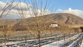 Malatya'da korkulan oldu, gökten bir anda patır patır yağmaya başladı. 100'lercesi paramparça oldu