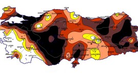 Türkiye'ye kahverengi felaket uyarısı! Dünyada 50'den fazla ülkeye kırmızı alarm verildi, yakın tarihte bizi de çok sert vuracak