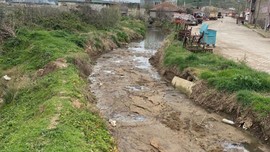 Balıkesir'deki dereden gelen koku yüzünden mahalle sakinleri, dayanamaz hale geldi. Camlarını dahi açamıyorlar