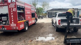 Hatay'da görülmeye başlamıştı. Şimdi de Düzce'de görüldü. Kocaeli, Bursa, Sakarya ve İstanbul acilen dikkat etsin. O hayvan 10'ar 10'ar geliyor