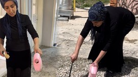 Hakkari'de bir aile tam  2 yıldan bu yana o hayvanla birlikte yaşıyordu. 2 yıl boyunca yaşadıkları hayvanı duyanlar küçük dillerini yuttu