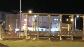 Artvin gece çocuk parkında 1 tanesi bir anda aniden ortaya çıktı. 1 tane hayvanı gören vatandaşlar korku içerisinde çocuklarını oradan uzak tuttu