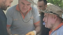 Denizli'de tarlasını biçmeye 2, 3 metre kala çiftçi gördüğü manzara karşısında resmen dondu kaldı! Karşısındaki hayvana bakınca tanımadı Sırbistan'dan gelmiş