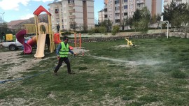 Bayburt'ta 10.000'lercesi doğada teker teker akına geçti. Sırasıyla her yerde ortaya çıkacaklar. Hemen karşı harekete geçildi
