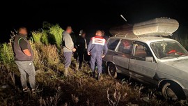Çorum'da doğada vatandaş önce 1 tanesini gördü... Daha sonra bölgeye gelen ekipler 1 tanenin peşine gidince 1000'lercesini buldu