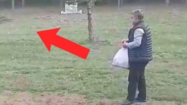 Erzincan’da 1 tanesi doğadan gelerek insanların dibine kadar girdi... Vatandaşın elleriyle beslediği hayvanı görenler dehşet içinde kaldı