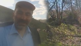 Tokat'ta 100'lerce koyununu otlatan çoban, doğada ormanın içerisine girince ağacın üzerindeki manzarayı görmesiyle resmen olduğu yerde kalakaldı