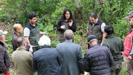 Düzce'de toplamda 10.000 tanesi teker teker doğaya bırakıldı... Yakında 10.000 tanesi tüm Marmara'ya dağılacak