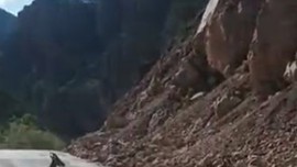 Gümüşhane'de 4 tanesi sürü halinde bir anda dağdan yola indi. Onlara dokunan tane başı 650.000'yi hazırlasın