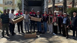 Aydın'da 60.000 tanesi teker teker dağıtıldı... Yakında 60.000 tanesi  Türkiye'nin her yerine dağılacak