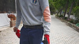Hatay, Adana, Mersin üzerinden Kocaeli, Bursa, İstanbul'a doğru 50'şer 50'şer istilaya geçtiği söylenmişti! Muğla'da 1 tanesini görenler şaştı kaldı