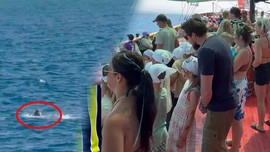 Akdeniz'de tek 1 tanesi bir anda açıkta belirdi. İngiliz turistlerin hepsi ona bakmaya başladı
