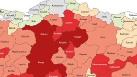 Tokat, Sivas, Çorum, Amasya, Erzurum'a acil uyarı verildi! O tehlikeli hayvan 10'ar 10'ar ortaya çıkmaya başladı! Tehlikenin asıl büyüğü sizde