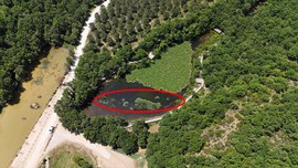 Çanakkale'de doğada ondan 1 tanesini bile görürseniz yaklaşmadan uzaktan bakın. Dokunanlardan söke söke 557 bin 212 alınıyor