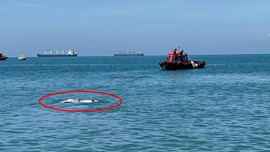 Akdeniz'de açıklardan kıyıya doğru sürüklenirken kameraya yansıdı. Gören vatandaşlar dondu kaldı