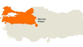 Hatay, Adana ve Mersin’de görülmeye başlamışlardı. Şimdi de Bursa’da ortaya çıktı. 1,5 metrelik hayvanın yeni istila hedefi Marmara olacak