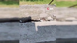 Malatya'da da doğada görülecek deniyordu. 2 metreye yakın hayvanı esnaf yürüyüş yaparken gördü. Sivas, Tunceli, Diyarbakır ve Şanlıurfa da çok dikkat etsin