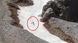 Tunceli'ye Bursa'dan gidip doğayı fotoğraflamak istediği sırada bir anda o korkunç detayı fark etti! 2 tanesinden 1 tanesini ağzında görenleri ağlattı