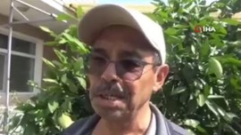 Çanakkale'de doğada sıcaklarla birlikte 2 tanesi birden ortaya çıktı. 2 tanesinin doğada yaptığı hareketi gören vatandaşlar resmen 2 adım geri gitti