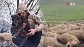 Erzincan'da 500'den fazla koyununu otlatmaya çıkaran çoban, koyunları otlatırken aniden sürpriz bir  doğa olayı yaşandı! Sadece 1 tane hayvan için bunu yaptı
