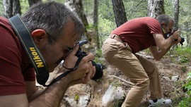 Balıkesir'de sadece Kazdağları'nda var... Başka hiçbir yerde onu ya da benzerini göremezsiniz. Dokunanlar  557.000'i hazır tutsun