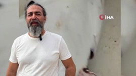 Adana, Hatay, Mersin ve Antalya'da büyük panik başlamıştı! 1'er 2'şer ortaya çıkan devasa hayvan İzmir'i de hatta Marmara'yı bile korkuttu! Onun peşine geliyor