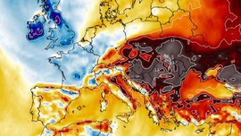 Adana, Hatay, Mersin, Antalya, İzmir, Muğla, İstanbul beklenen fokur fokur kaynamaya başladı. 1'er 1'er her yeri sarıyor