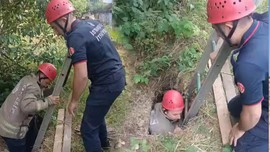 Arnavutköy'de 5 metrelik kuyudan acı acı bağırış sesleri geldiğini fark edip resmi ekipleri aradı! Ekipler 5 metrelik kuyuya inince 1,2,3,4 tanesiyle karşılaştı
