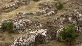 Elazığ'da dağda sürü halde görüldüler. Onlara dokunan 250.000'i bile değil 3 ay ile 6 ay özgürlüğü gözden çıkarsın