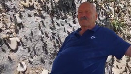 Antalya'da doğadan korkunç haber geldi... 1000'lercesi sağa sola bakmadan tek bir istikamet istilaya başladı.... 1000'lerce ile her yeri kapladılar