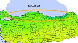 Amasya, Artvin, Bolu, Giresun, Gümüşhane, Kastamonu, Ordu, Rize, Samsun, Sinop, Tokat, Trabzon, Zonguldak'a Ukrayna'dan 20'sinde geliyor