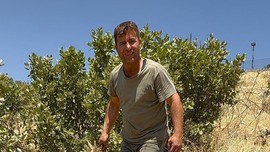 Mardin'de doğada ilerleyen vatandaş korkunç manzarayı fark etti. Vahşi hayvan takıldığı tellerde can çekişiyordu