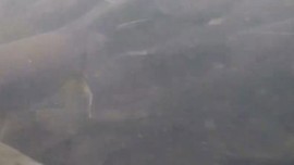 Van'dan 1000'lercesi ters yöne doğru akına başlamıştı! Biz görmeden ilerliyorlardı ilk kez bu kadar yakın görüntülendiler