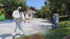 İstanbul'da Ataşehir'den büyük mücadele başladı! 100.000'lercesi her yerde gizlenen hayvana karşı dikkat