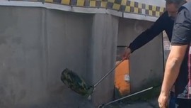 Kars'ta havaların ısınmasıyla birlikte 1 metre boyunda ortaya çıktı. Bölgeye gelen ekipleri aşırı uğraştırdı