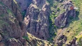 Erzincan'da 1 tanesine dokunmak bile 650.000... 4 tanesi çok yakından görüntülendiler doğanın mükemmel ayrıntısı