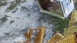 Bolu’da gece geldi, önüne ne bulduysa yok etti geçti. Üretici ancak sabah saatlerinde bölgeye geldiğide fark etti
