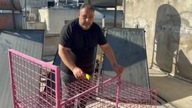 Mersin'de 1 aydan bu yana 1 tane hayvan damlarda gezip herkesi canından bezdirdi. Yakalamak için kafes kuruldu