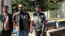 Bolu'da ormanlık alanın içerisinde ekipler 1 tanesini fark etti. 1 tane hayvana doğru bakan ekipler gördükleriyle detayla resmen Türkiye'ye felaket haberi verdi