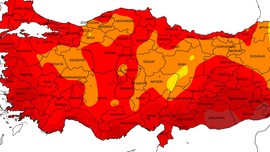 Sivas, Erzurum, Gümüşhane, Tokat, Çankırı, Kastamonu dahil 6 ilimize acil uyarı verildi! O hayvandan kaynaklı sakın bununla karıştırmayın