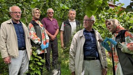 Ordu, Giresun, Samsun, Trabzon'dan sonra haftada 300.000 çoğalan istilacı Marmara'ya da giriş yaptı. Tek çare 10.000'lerce o hayvandan salmak