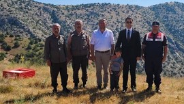 Yozgat'ta 225 tanesi jandarma korumasında özel kafesler içerisinde doğaya getirildi. Ardından 225 tane doğaya salındı