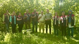 Rize'de 50.000 tanesi yetkililer tarafından doğaya salındı. Resmi olarak yapacakları tek 1 görev var