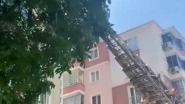Bursa’da ağaçtan gelen acı acı sesler üzerine ekipler 1 çırpıda ağaca tırmandı. Dalların arasında onunla karşılaştılar